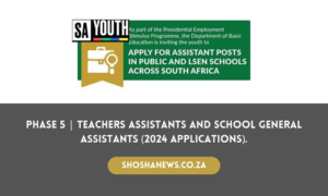 Phase 5 | Teachers Assistants And School General Assistants (2024