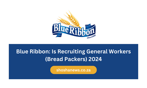 Blue Ribbon: Is Recruiting General Workers (Bread Packers) 2024