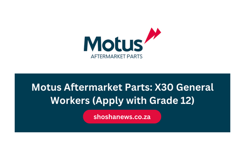 Motus Aftermarket Parts: X30 General Workers (Apply with Grade