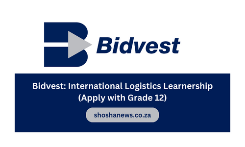 Bidvest: International Logistics Learnership (Apply with Grade 12)