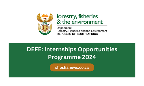 DEFE: Internships Opportunities Programme 2024