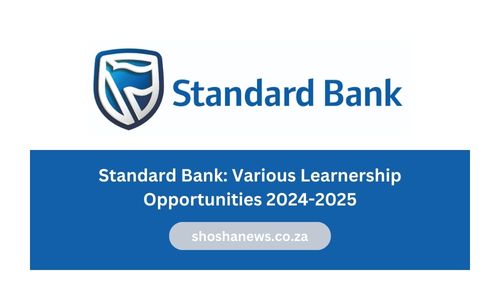 Standard Bank Job Opportunities