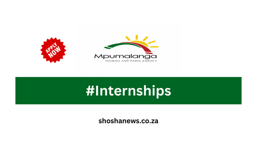 Mpumalanga Tourism and Parks Agency (MTPA): Internships Opportunities 2024
