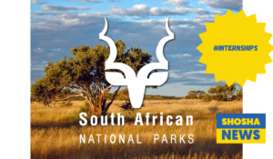 Top Graphic Design Internships 2024 in SA National Parks - Apply Now!