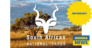 Top Graphic Design Internships 2024 in SA National Parks - Apply Now!