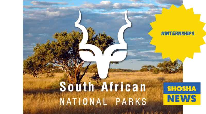 Top Graphic Design Internships 2024 in SA National Parks - Apply Now!