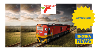 Transnet: Young Professional Internship Opportunities 2024