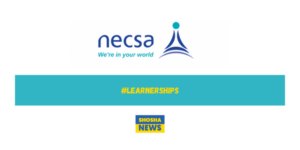 Apply NECSA Learnership Opportunities 2024