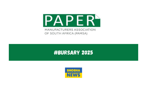Unlock Your Future: Apply for the PAMSA Bursary Program 2025 Today!