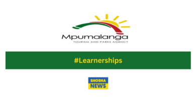 Unlock Your Potential: MTPA Learnerships in Mpumalanga 2024 - Apply Now!