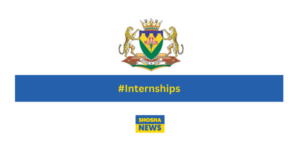 Free State DESTEA: Graduate Internships 2024