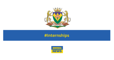 Free State DESTEA: Graduate Internships 2024