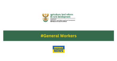 Limpopo's Agriculture Department is Hiring: Apply Now for General Worker Opportunities!