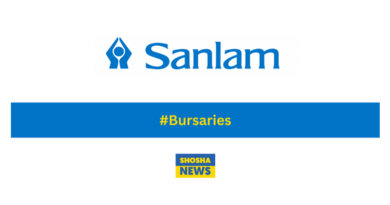 Sanlam Actuarial Bursaries/Actuarial Funding 2025