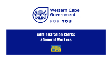 Western Cape Government: X11 Supply Chain | X 12 General Workers Vacancies