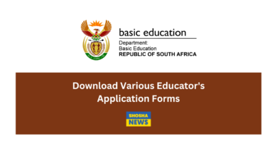 Download Various Educator's Application Forms | LPDE 1, EDU 1, GDE-1...