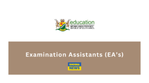 Mpumalanga Dept of Education: Examination Assistants (EA's) 2024