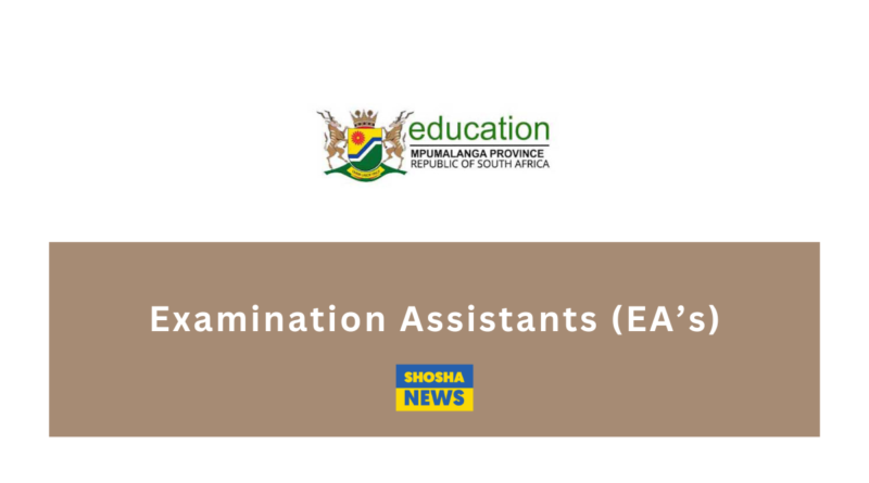 Mpumalanga Dept of Education: Examination Assistants (EA's) 2024