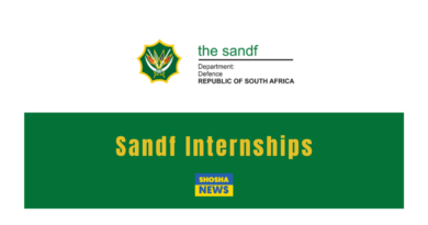 SANDF Graduate Internships 2024