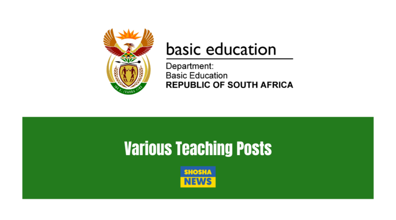 Dept of Education: X15 Schools Various Teaching Posts