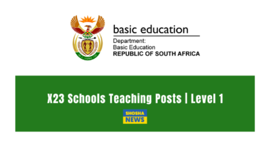 X23 Schools Teaching Posts | Level 1