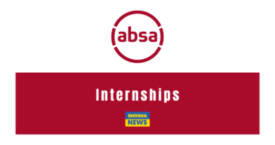 Absa Learning & Development Intern