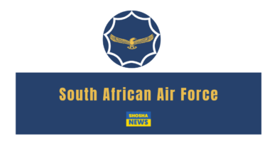 South African Air Force: Work Integrated Learnerships (TVET Placements) 2024 – 2025