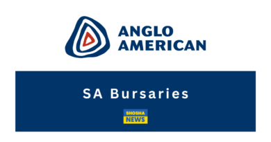 Anglo American Platinum: Scholarship/Bursaries 2024