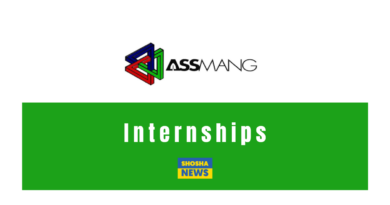 ASSMANG Graduate Internships 2024