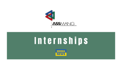 ASSMANG Mining Internship 2024