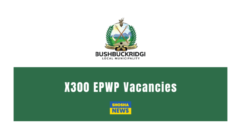 X300 EPWP WASTE MANAGEMENT VACANCIES AT THE BUSHBUCKRIDGE LOCAL MUNICIPALITY