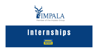 Marula Platinum: Internship 2024