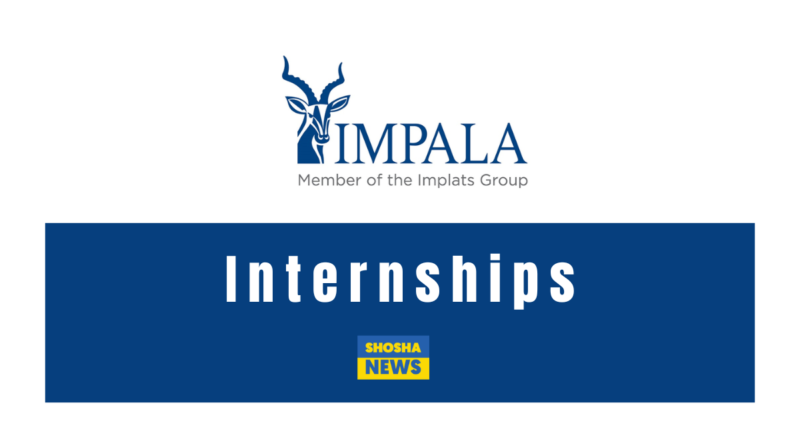 Marula Platinum: Internship 2024