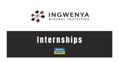 Ingwenya Mineral Processing: Internships 2024