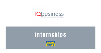 IQ business: Internships 2024–2025