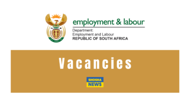 Department of Employment and Labour: Entry level Jobs