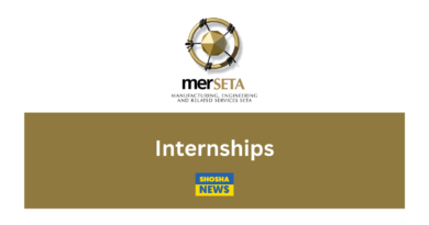 Apply for Internship Programme at merSETA