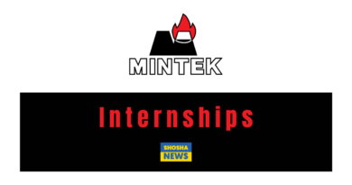 Mintek ICT Internship 2024