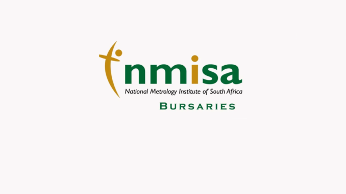 MNISA: Undergraduate Bursary 2024
