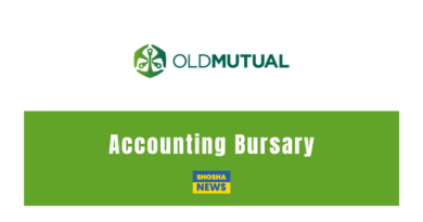 Old Mutual: Accounting Bursaries for 2025