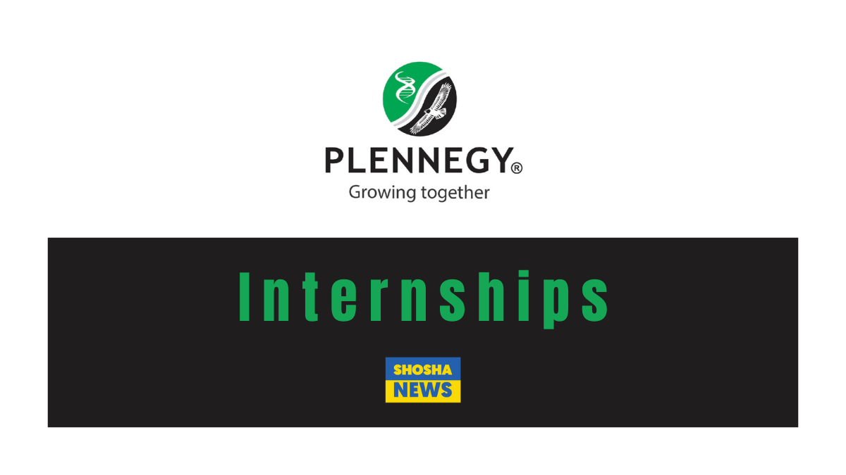 Plennegy: Internships Opportunities 2024