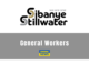 Sibanye-Stillwater X5 General Miners