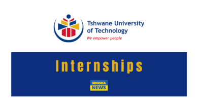 Tswane University of Technology Internship 2024