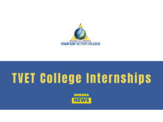 Sekhukhune TVET College: W&RSETA Internships 2024