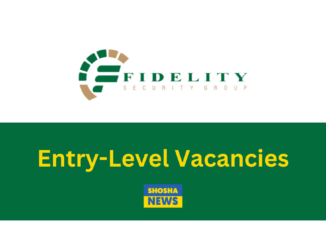 Fidelity Services Group: Sales Consultants 2024