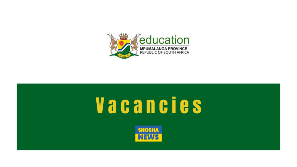 Mpumalanga Dept of Education X40 Clerical Vacancies 2024