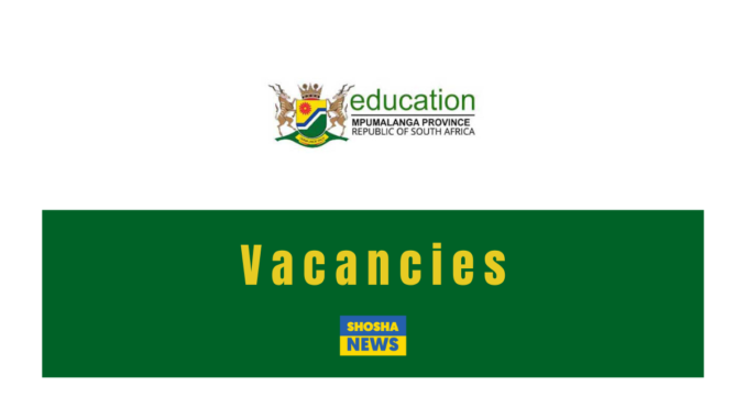 Mpumalanga Dept of Education X40 Clerical Vacancies 2024