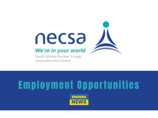 Necsa Internship Opportunities 2024