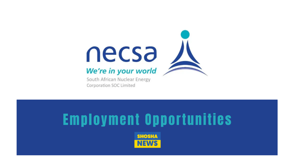 Necsa Internship Opportunities 2024