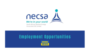 South African Nuclear Energy Corporation (Necsa) Internships 2024